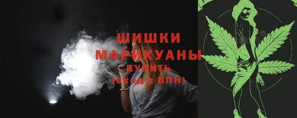 PSILOCYBIN Балабаново